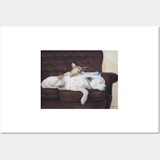 cute puppy sleeping with white american bulldog Posters and Art